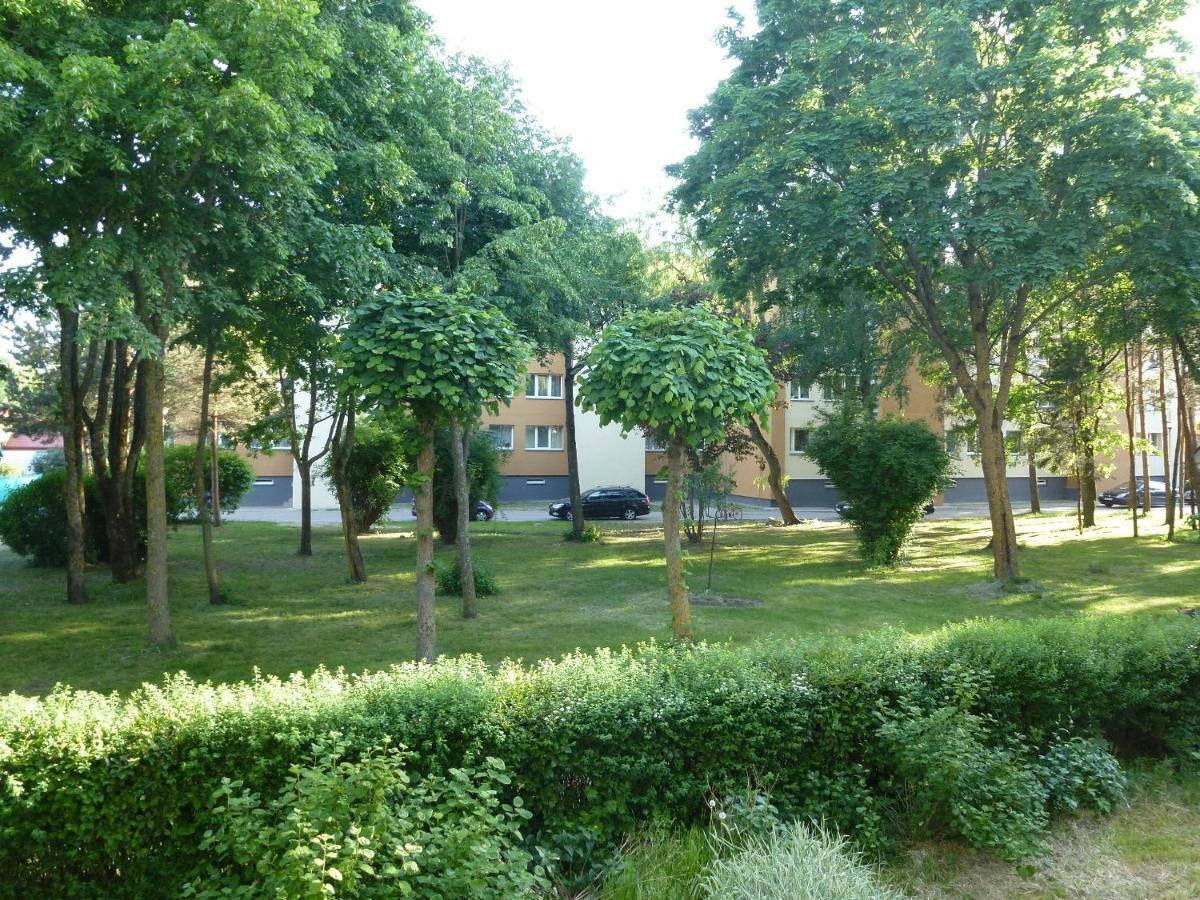 Studio Apartment "Balta" Παλάγκα Εξωτερικό φωτογραφία